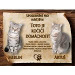 Cedulky-sporthobby CZ116 Cedulka Kočka Vlastní foto 27 x 20 cm – Zboží Dáma