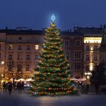 DECOLED LED světelná sada na vánoční stromy vysoké 6-8 m barevná – Hledejceny.cz