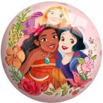 Míč Disney Princess 23 cm – Zboží Mobilmania