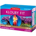 Terezia Company Klouby fit 60 kapslí – Hledejceny.cz