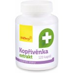 Wolfberry Kopřivěnka extrakt 120 kapslí – Hledejceny.cz