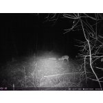 OXE Panther 4G – Zboží Živě