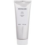 Sachajuan Silver Shampoo 220 ml – Zbozi.Blesk.cz