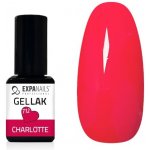 Expa nails expanails uv led gel lak charlotte 10 ml – Zbozi.Blesk.cz
