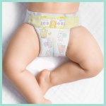 Pampers Premium Care 3 120 ks – Zboží Dáma