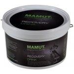 Mamut Recovery Drink 2 kg – Hledejceny.cz