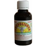 Dr. Dudek Propolisová tinktura 30 ml – Hledejceny.cz