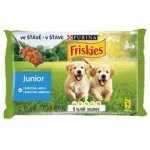 Purina Friskies PES Junior s kuřetem & mrkví ve šťávě 4 x 100 g – Sleviste.cz