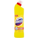 Domestos Extended Power Citrus Fresh 750 ml – Sleviste.cz
