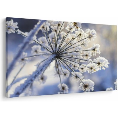 Obraz - Zmrzlý květ, jednodílný 150x100 cm – Hledejceny.cz