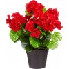 Květina Die moderne Hausfrau Umělý muškát 28 cm, červený