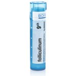 FOLLICULINUM POR 9CH GRA 1X4G – Hledejceny.cz