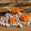 Jezírková dekorace Okrasné kameny Koralo valounky Vyberte si balení: 25 kg