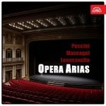 Daniza Ilitsch Orchestr Vídeňské státní opery Hans Swarowsky Árie oper Puccini Mascagni, Leoncavallo MP3 – Hledejceny.cz