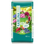 Forestina Standard rašelina 60 l – Sleviste.cz