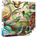 Good Loot Imagination Ernst Haeckel Hummingbirds Kolibry Puzzles 1000 dílků