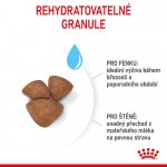 Royal Canin Starter Mother&Babydog Mini 3 kg – Hledejceny.cz