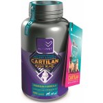 Altervet Cartilan Nutri K2+D3 100 tbl – Hledejceny.cz