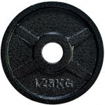 FitnessLine Kotouč litinový 30 mm - 1,25 kg – Zboží Dáma