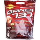 Megabol Gainer 737 3000 g