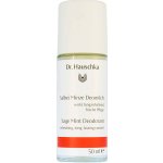 Dr.Hauschka Šalvěj Máta roll-on 50 ml – Sleviste.cz