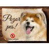 Autovýbava Sport hobby Cedulka Akita Inu Pozor pes zákaz 15 x 11 cm