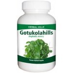 Herbal Hills Gotukolahills Bylinné kapsle 60 kapslí – Hledejceny.cz