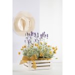 Bama Plastová dekorativní bedýnka TINA 3 - barva bílá – Zboží Dáma