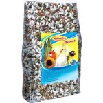 Avicentra Deluxe Malý a střední papoušek 0,5 kg – Zboží Dáma