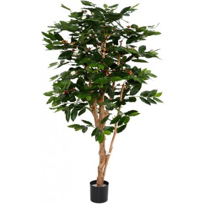 Umělý strom Kávovník - přírodní kmeny, 175cm – Zboží Dáma