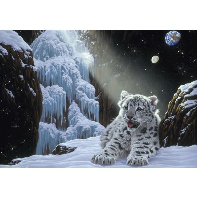 Grafika Schimmel: Ice House 1500 dílků – Sleviste.cz