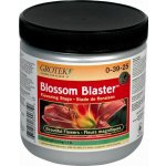 Grotek Blossom Blaster 20 g – Hledejceny.cz