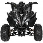 Ramiz Elektrická čtyřkolka DESERT STORM LIFT černá – Hledejceny.cz