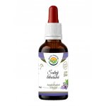 Salvia Paradise Šalvěj lékařská AF tinktura 50 ml – Hledejceny.cz