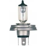 Narva Rallye H4 P45t 12V 100/90W – Sleviste.cz
