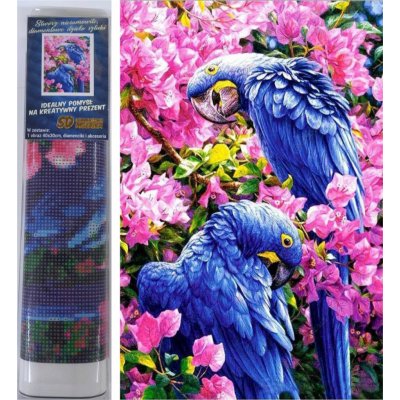 Norimpex Diamantové malování Modří papoušci 30 x 40 cm – Zboží Mobilmania