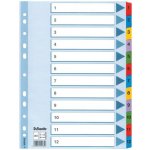 rozlišovač karton Mylar 1-12 – Hledejceny.cz