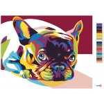 Zuty Malování podle čísel BAREVNÝ BULDOČEK – Zboží Mobilmania