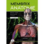 Memorix anatomie - 7. vydání – Hledejceny.cz
