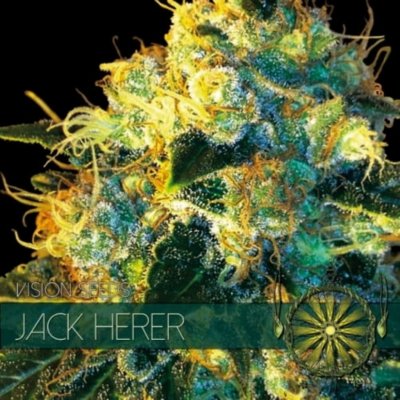 Jack Herer Fem - Vision Seeds ks: 10