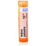 LEDUM PALUSTRE POR 15CH GRA 1X4G – Hledejceny.cz