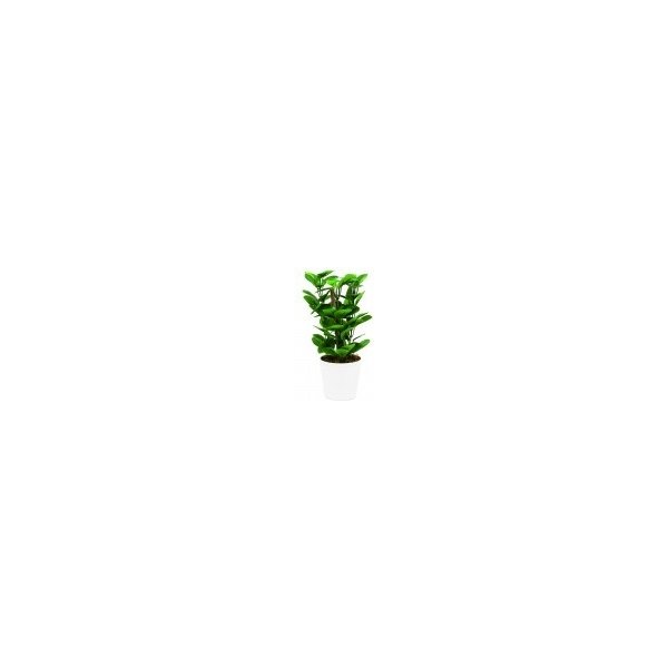 Květina Zelený list v pevném květináči 30 cm