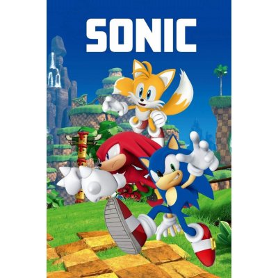 Jerry Fabrics Dětská fleecová deka Sonic 023 – Sleviste.cz