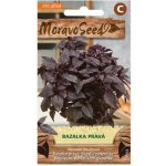 Moravo Seed Bazalka Červená
