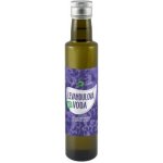 Purity Vision Bio levandulová voda 250 ml – Zboží Mobilmania