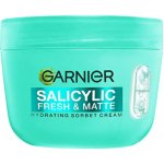 Garnier Salicylic Fresh & Matte hydratační krém na obličej 85 ml – Zboží Dáma