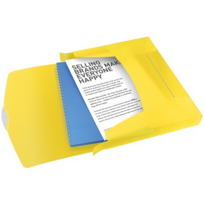 Esselte Box na spisy s gumičkou Jumbo Vivida A4, 40 mm, žlutá – Hledejceny.cz