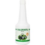 Calcifostil Oral Gel 480 ml – Zboží Dáma Calcifostil Oral Gel 480 ml – Zboží Dáma