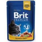 Brit Premium Cat with Gravy Salmon & Trout 100 g – Hledejceny.cz
