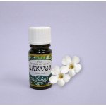 Saloos esenciální olej Zázvor 5 ml – Hledejceny.cz
